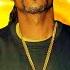 Snoop Dogg Dr Dre Ice Cube WC All My Dogs Ft DMX Tha Dogg Pound B Real 2022