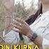 Dini Kurnia Sewu Siji Official Music Video