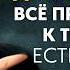 СИЛА ТИШИНЫ Пусть Всё Придёт к Вам Естественным Образом Мотивация доктора Джо Диспенза