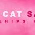 Doja Cat Say So Snakehips Remix Official Audio