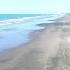 Driving Muriwai Beach And Finding Your Spot