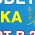 ТОП 10 МУДРЫХ СОВЕТОВ ПРОРОКА ДЛЯ 21 ВЕКА ПОСЛАНИЕ ПРОРОКА В 21 ВЕК ХАДИСЫ ПРОРОКА