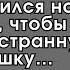 Торопясь к жене после командировки бизнесмен остановился на дороге чтобы подвести странную