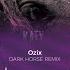 Dark Horse Katy Perry Tech House Remix Ozix