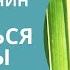 Переезд в Пуэрто Рико Жизнь на карибском острове