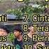 FULL ALBUM SCALAVA COUSTIC Top 12 Song Terpopuler