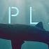 Our Planet Coastal Seas FULL EPISODE Netflix