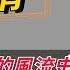 京圈長公主 許晴的風流史 征服多位大佬 馮小剛為她痴迷10年 3個男人為她離婚 她有什麼魅力