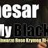 Caesar My Black Lady Schwarze Rose Krymen Ri Mix 2024