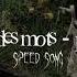 Je Te Laisserai Des Mots Speed Up