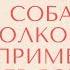 К чему воет собака толкование приметы и объяснение кинологов