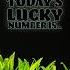 Looking For A Lucky Number Today Find Out Now