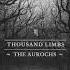 Thousand Limbs The Aurochs Full Album 2024