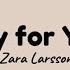 Eminem Zara Larsson Ft Emmi Try For You Lyrics