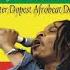 Best Of Majek Fashek The Rain Maker