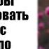 Невеста отправилась в отпуск чтобы попутешествовать по Европе с друзьями по колледжу