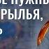 Художественной руководитель ансамбля танца Сузор е Вадим Матанцев Скажинемолчи