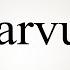 How To Say Parvus