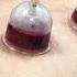 Cupping Therapy Hijama Therapy Treatment For Body Detox How It Works