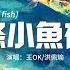 王OK 洪佩瑜 這條小魚在乎 I M A Little Fish 可是寶貝啊 人生又何止這樣 我們在世上 是為了感受陽光 動態歌詞MV