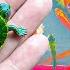 Catch Tiny Pacman Frogs Baby Turtles In The Lake Find Ornamental Fish Koi Fish Shrimp Catfish