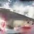 The Most Gruesome Shark Attacks Ever Recorded