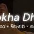 Dhokha Dhadi Slowed Reverb