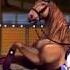 Brooke Greenlee Star Stable Alicia Online