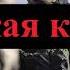 Чужая кровь Против войны в Украине Патриотическая песня