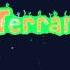 Terraria Music Night