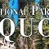 Sequoia National Park 4K Ultra HD Stunning Footage Scenic Relaxation Film With Calming Music