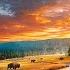 Yellowstone S Cycle Of Life A Stunning Landscape Painting Timelapse