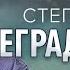 Степень деградации деградация семинар мужчина как взрастить дух Гарат школасорадение