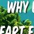 Why Does My Heart Feel So Bad Lyrics By Moby