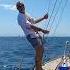 Sailing Takaya A Vindo 40 Sailing Yacht