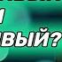 Настойчивость или навязчивость В чем разница