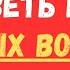 НЕ ПРОЙДИ МИМО И ОТВЕТЬ НА 20 ПРОСТЫХ ВОПРОСОВ ТЕСТ НА ЭРУДИЦИЮ 94 эрудиция тестнаэрудицию