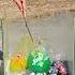 Coca Cola Fanta Sprite And Mentos In Balloons Shorts