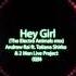 Andrew Rai Ft Tatiana Shirko 2 Man Live Project Hey Girl The Electro Animals Remix