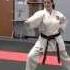 Busho Kai Martial Arts Fitness Martial Arts In Mansfield TX