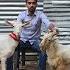 5000 Starting Mega Offer Goat At AL ABBAS GOAT FARM सस त बकर बकर Exotic Bakre In Mumbra