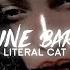 Mega éclatante Feline Beauty Life Pack