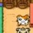 Let S Play Hamtaro Ham Hams Unite 1 A Whole New Hamha