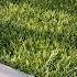 REALISTIC GRASS In 3ds Max V Ray