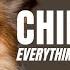 Chihuahua Dogs 101 Everything You Need To Know