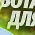 Вся ботаника за один урок Теория которая точно пригодится тебе на ОГЭ и ЕГЭ