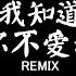 我知道你不爱我 威仔 DJ抖音 Remix 抖音热门歌曲 我知道你不愛我 可我還為你執著 抖音 Hot Tiktok Douyin Baozhang Remix