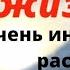 Подаренная жизнь Новый ОЧЕНЬ интересный христианский Рассказ автор Светлана Тимохина