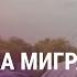 Депортация блогера правозащитника из РФ Суды в прямом эфире Борьба против АЭС продолжается АЗИЯ