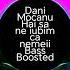 Dani Mocanu Hai Sa Ne Iubim Ca Nemtii Cu Bass Boosted